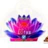 Lighting Lotus