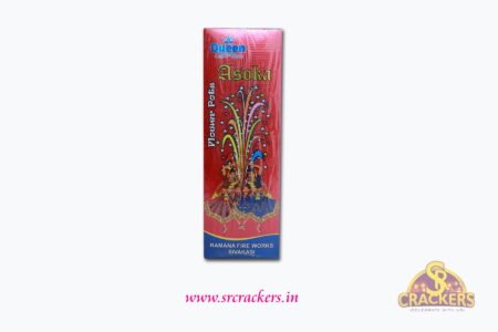 Flower Pot  Ashoka