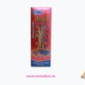 Flower Pot  Ashoka
